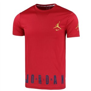 Nike Jordan Men's Sport Dri-Fit Shorts & T Shirt 2 Pc Set