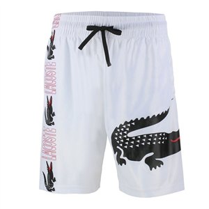 Lacoste Men's Sport Dri-Fit Shorts & T Shirt 2 Pc Set