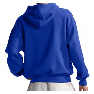 The North Face Men's Evolution Vintage Hoodie