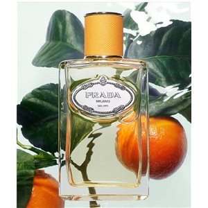 Prada  Infusion Mandarine EDP Spray 3.4 oz Fragrances