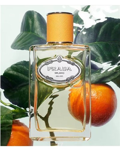 Prada  Infusion Mandarine EDP Spray 3.4 oz Fragrances